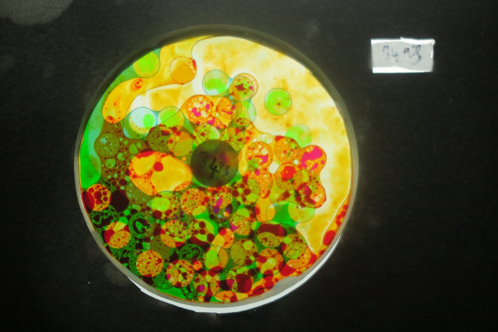 BV3493 bubble vision oil wheel